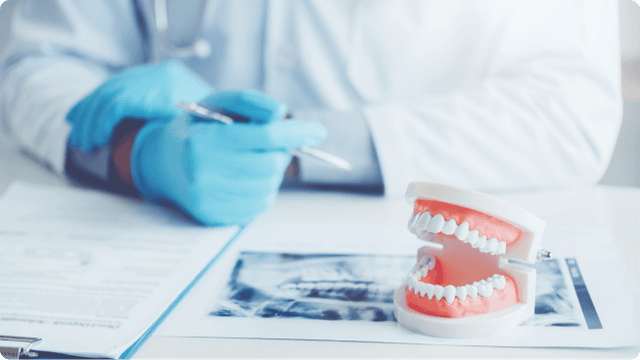 ortodoncja przy parku